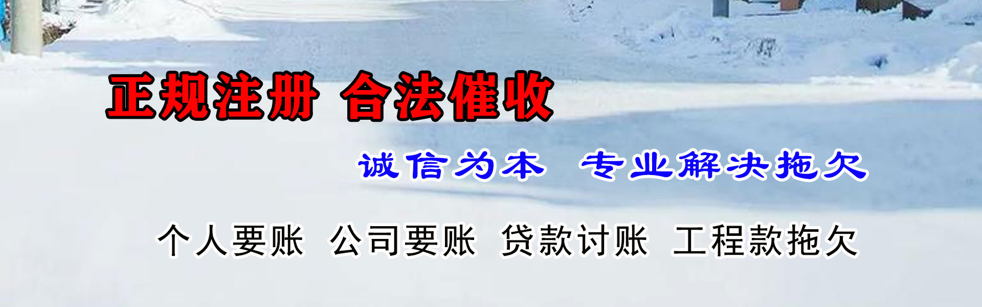 湛江要数公司